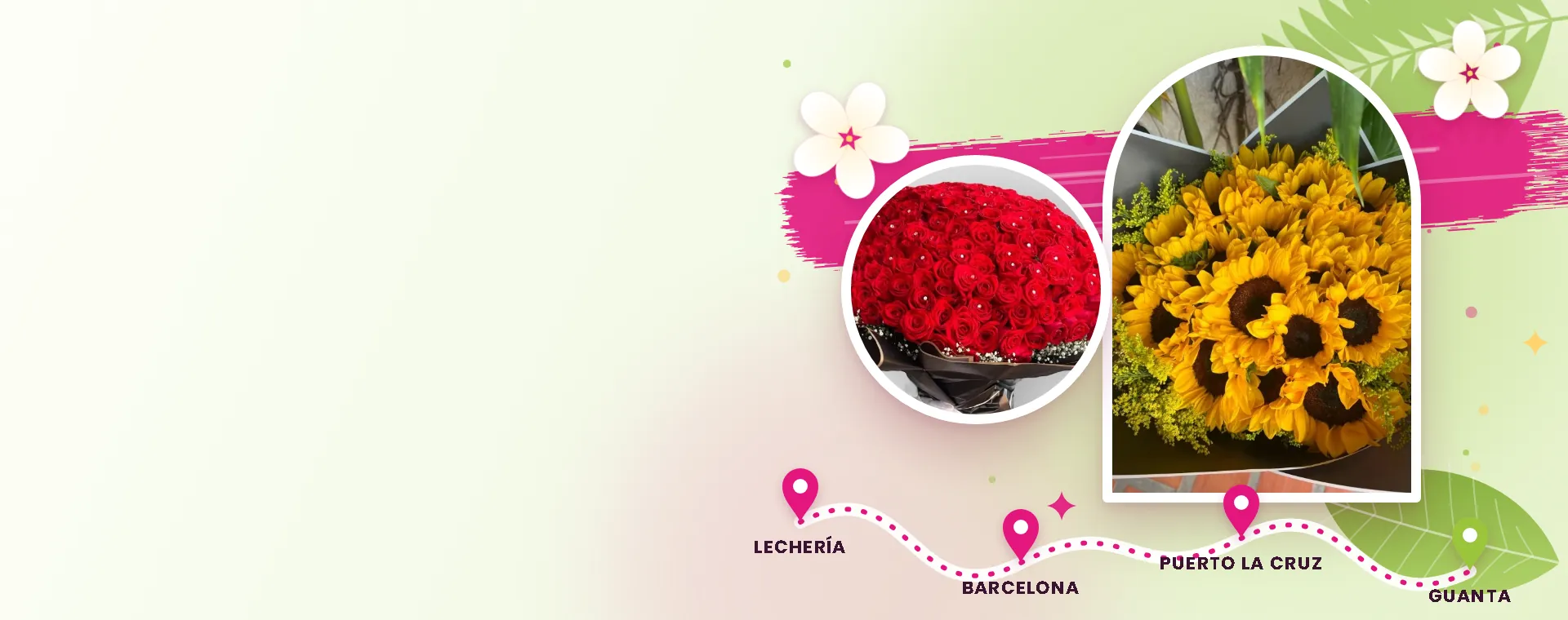 Girasoles y rosas con ruta de delivery por Lechería, Barcelona, Puerto La Cruz y Guanta